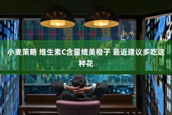 小麦策略 维生素C含量媲美橙子 最近建议多吃这种花